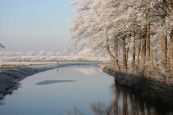 Natur pur, Ostrhauderfehn bei Frost