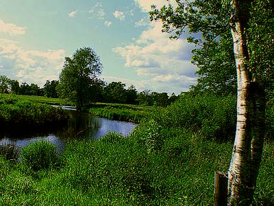 natur am fluss