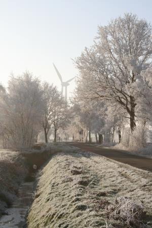Weg ins Moor