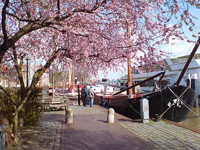 Nostalgiehafen von Leer.